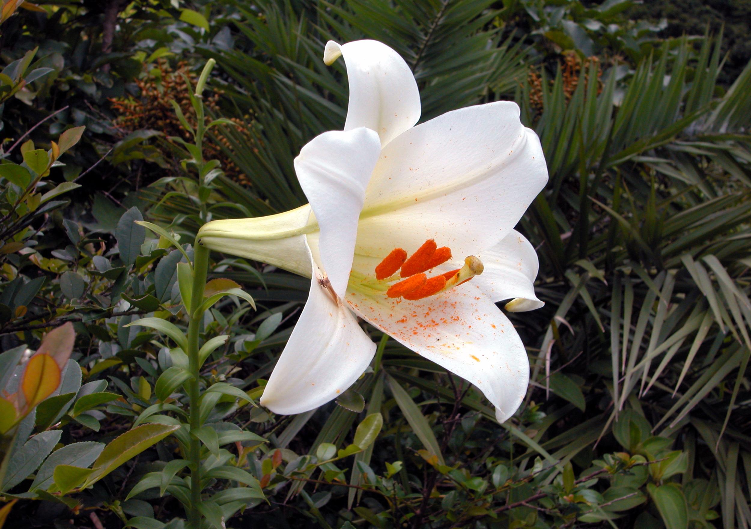 $!title_without_url!$