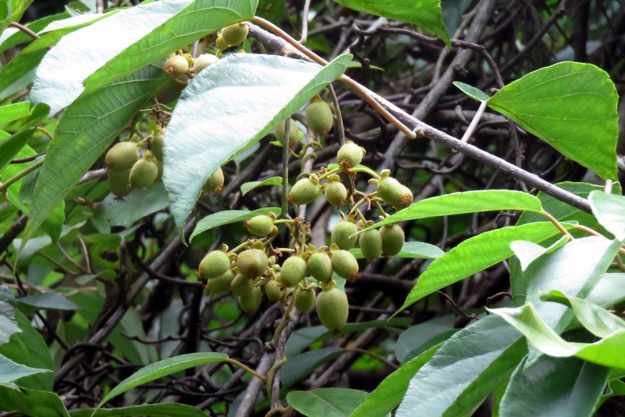 $!title_without_url!$