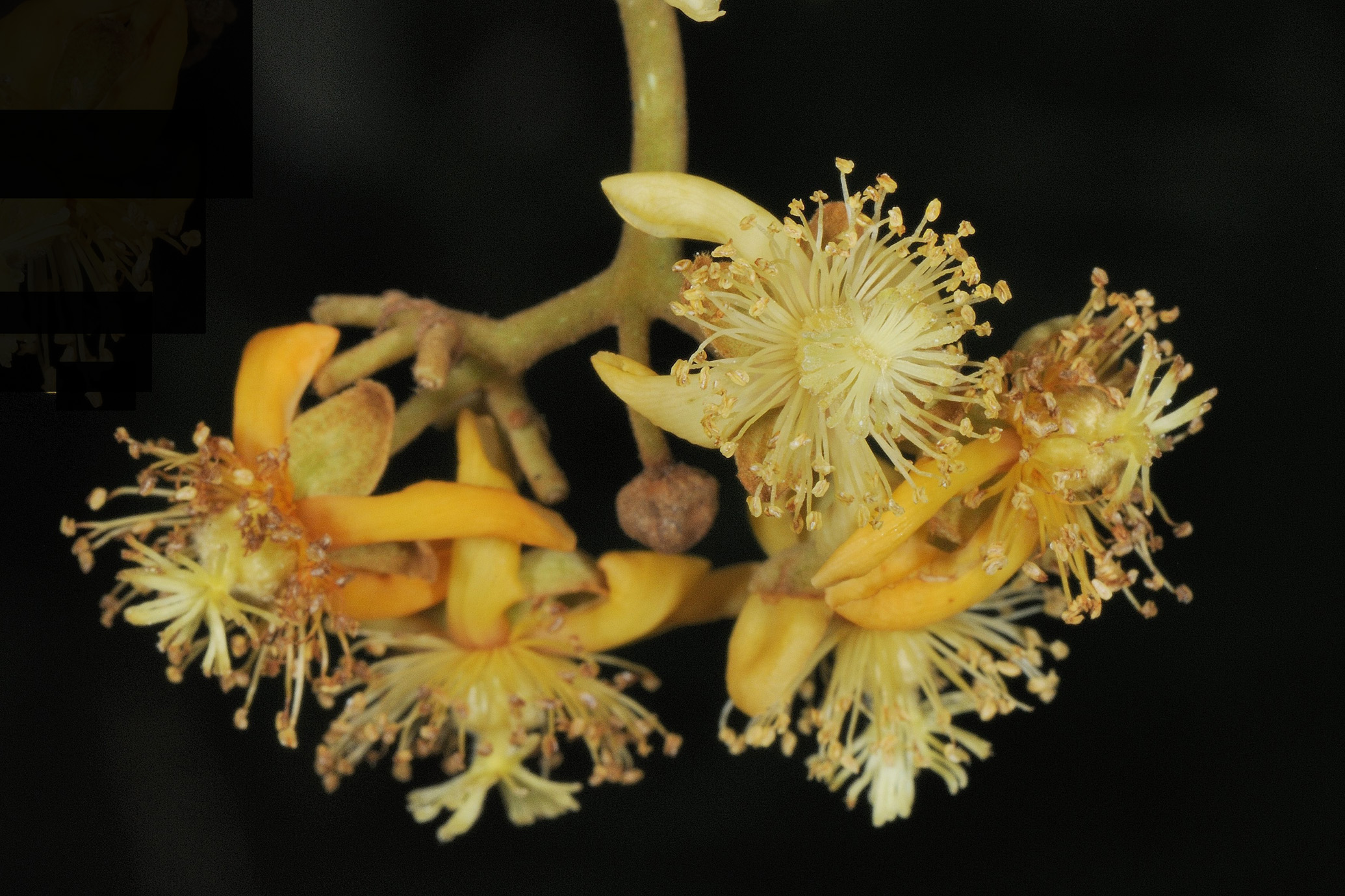 $!title_without_url!$