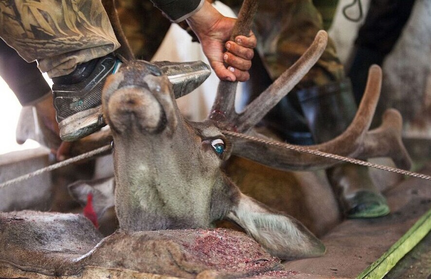 $!title_without_url!$