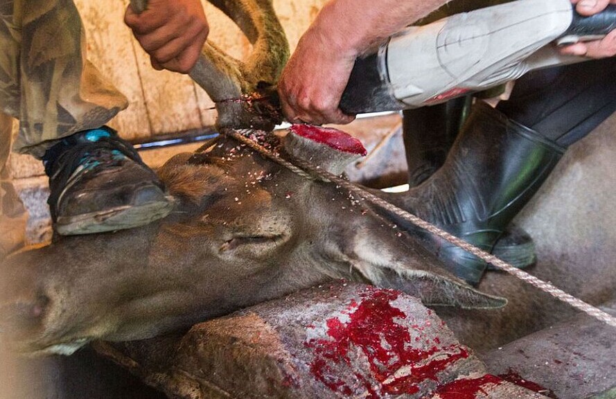 $!title_without_url!$