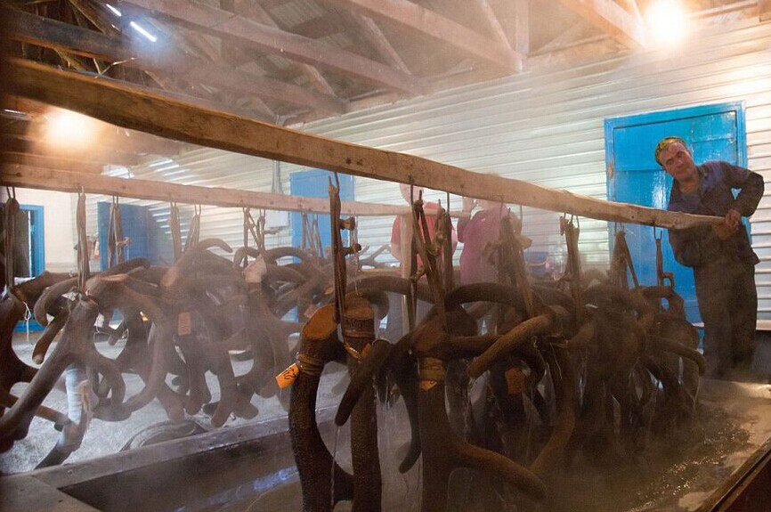 $!title_without_url!$