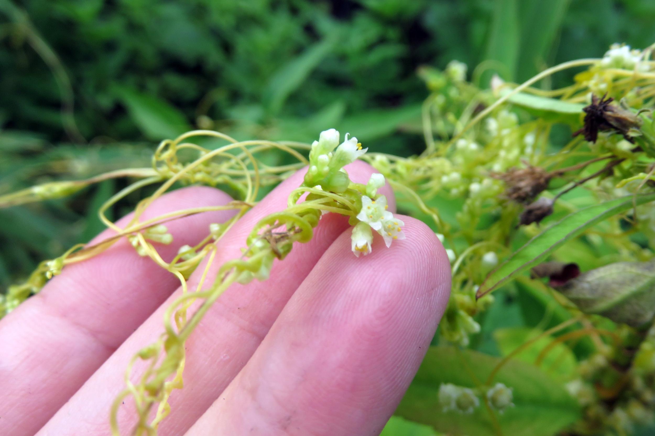 $!title_without_url!$