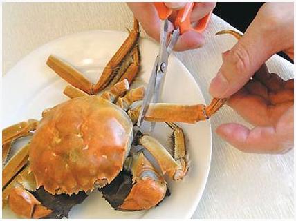 $!title_without_url!$