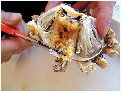 $!title_without_url!$