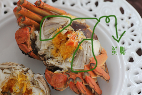 $!title_without_url!$