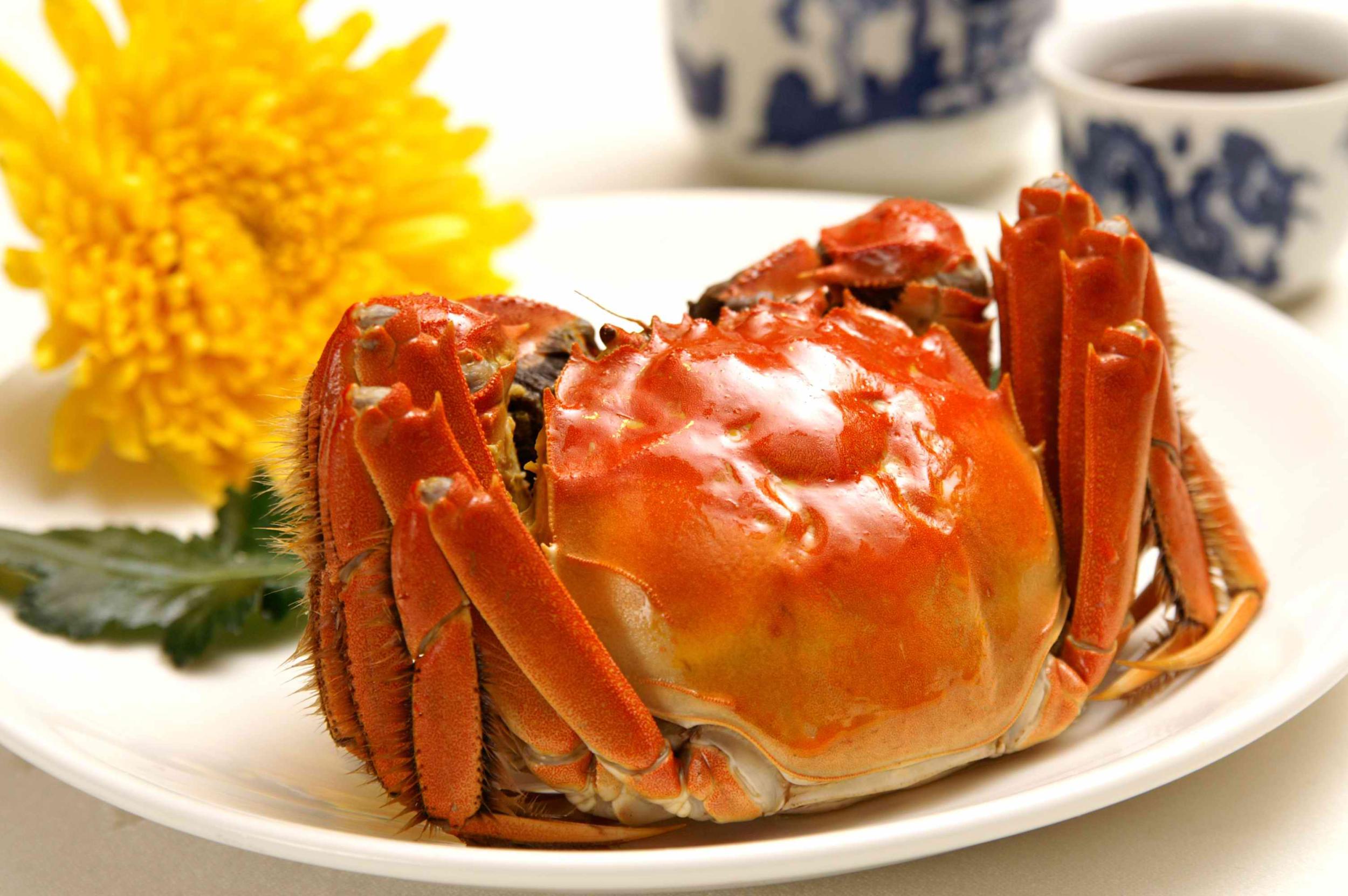 $!title_without_url!$