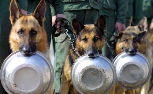 $!title_without_url!$