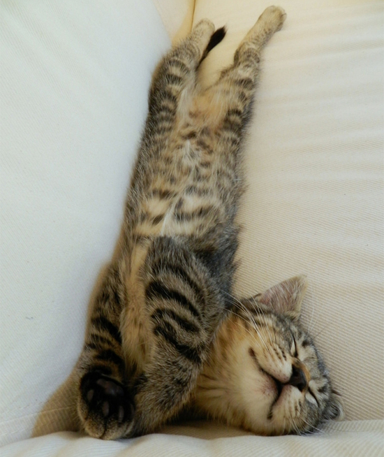 $!title_without_url!$