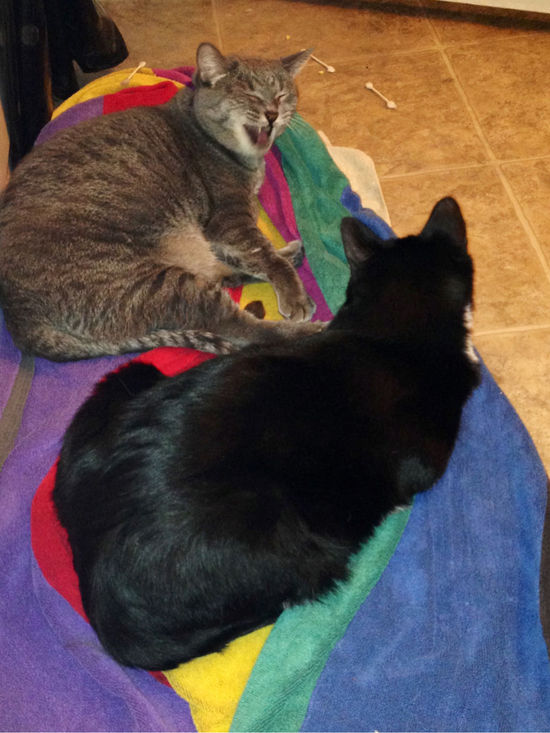 $!title_without_url!$