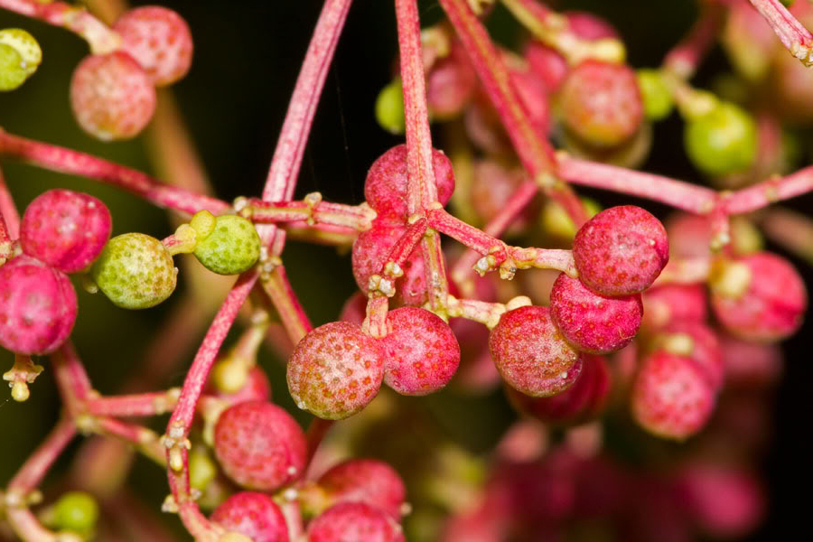 $!title_without_url!$