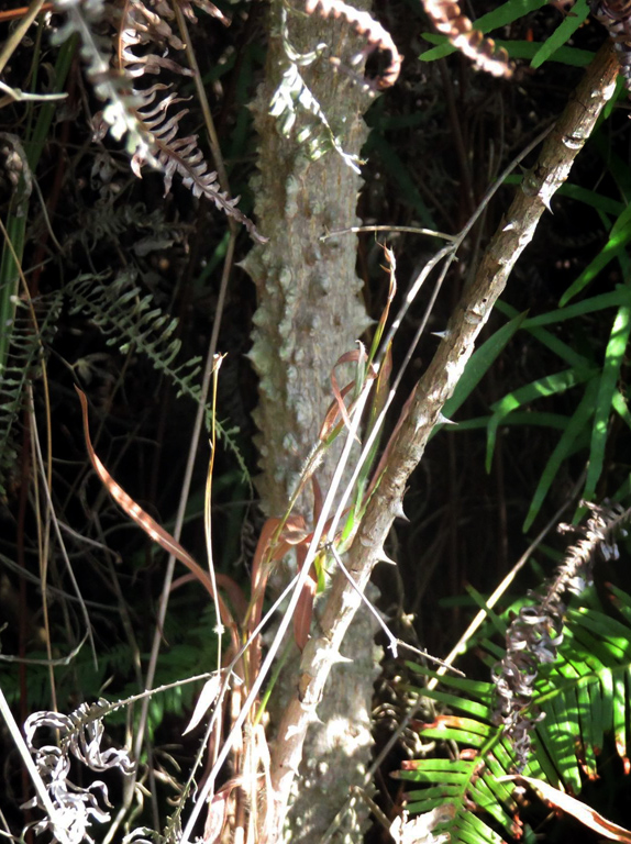 $!title_without_url!$