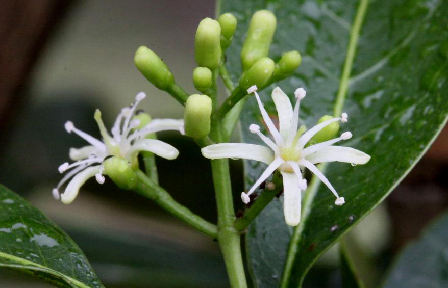 $!title_without_url!$