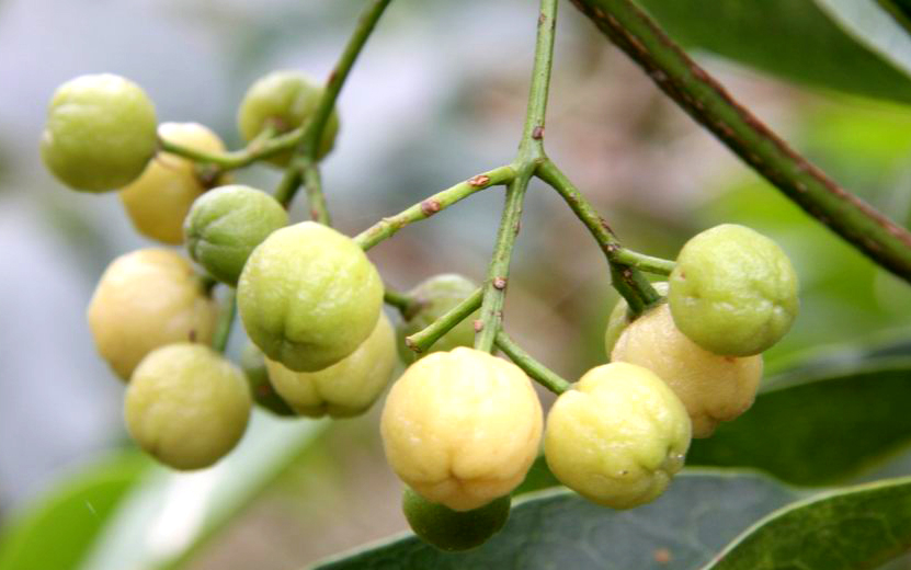 $!title_without_url!$