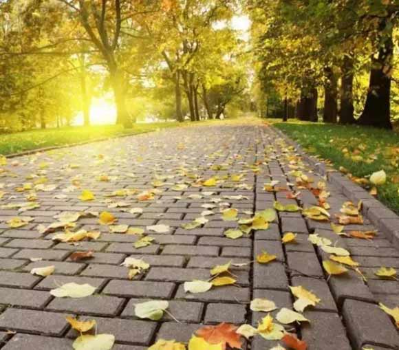 $!title_without_url!$