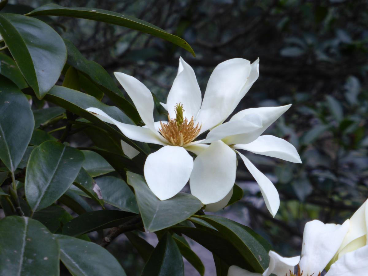 $!title_without_url!$