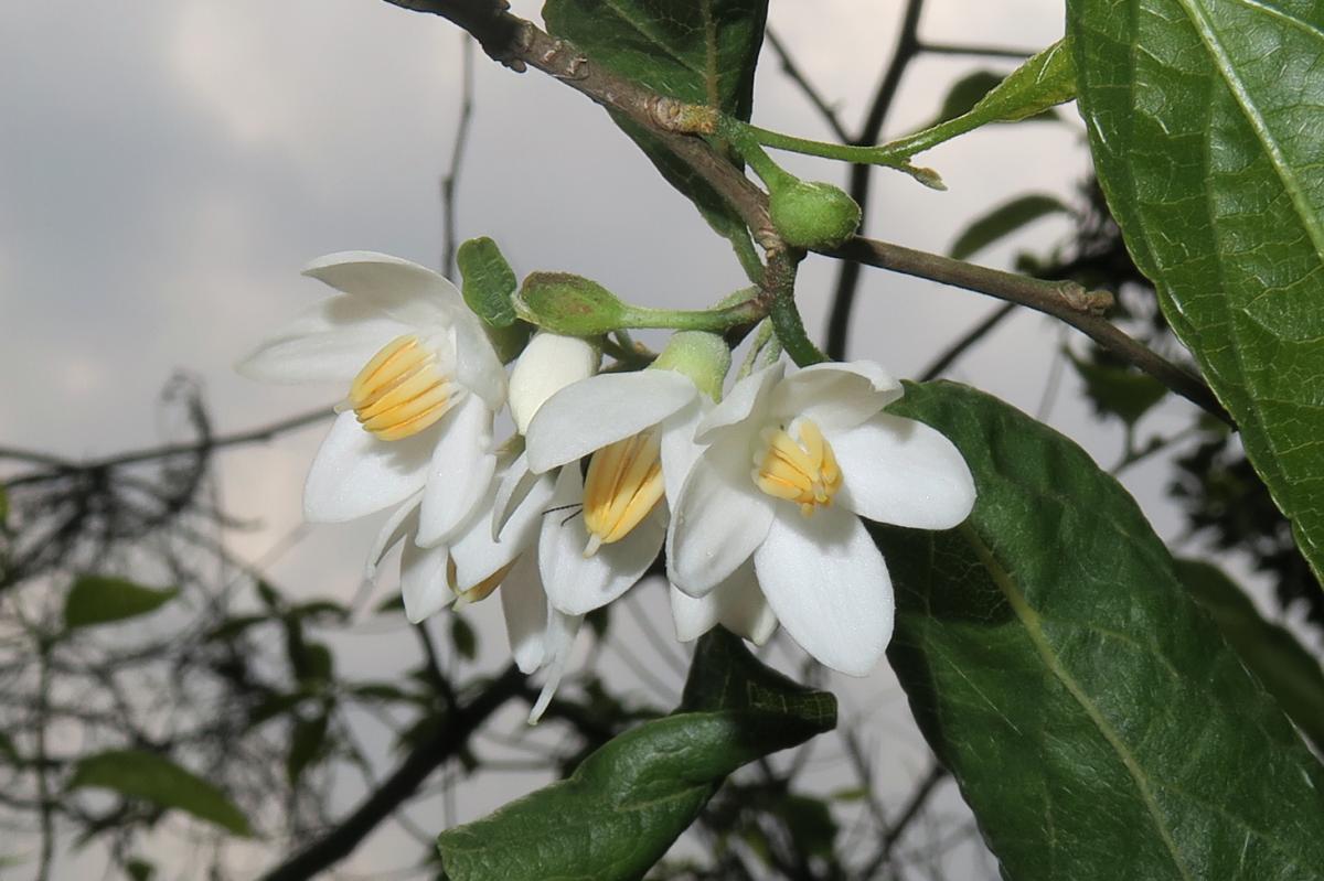 $!title_without_url!$