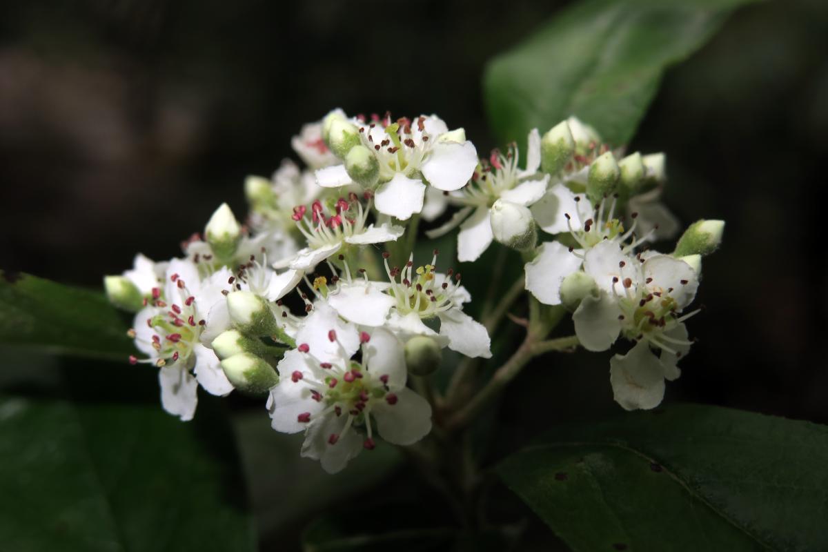 $!title_without_url!$