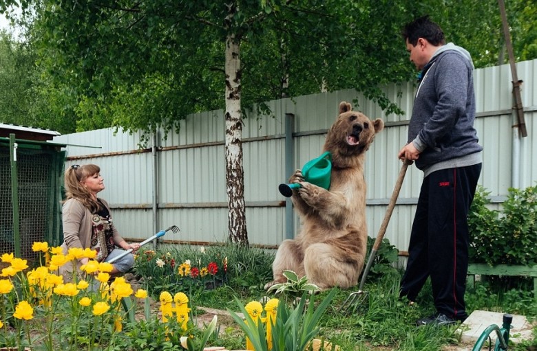 $!title_without_url!$