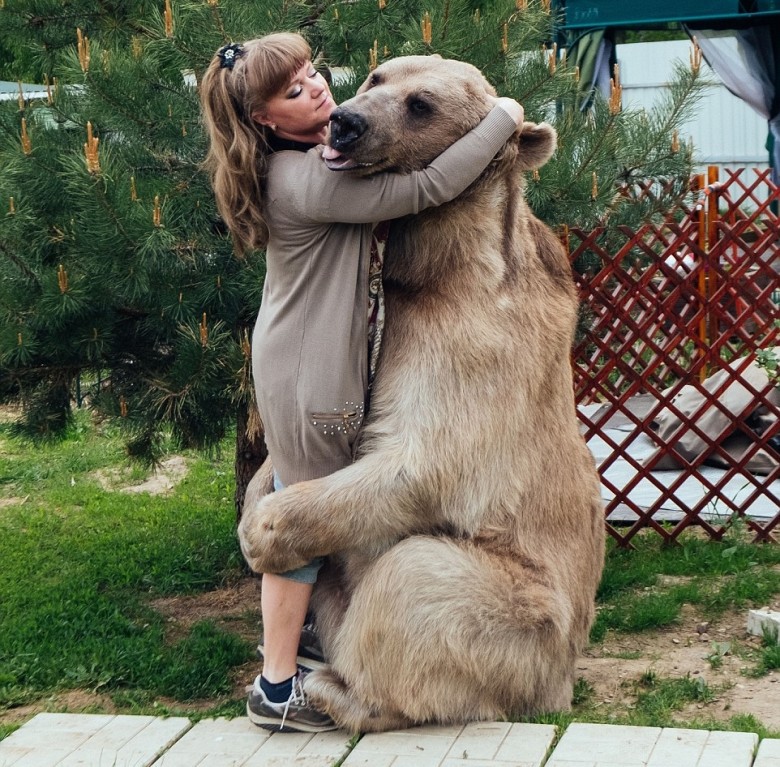 $!title_without_url!$