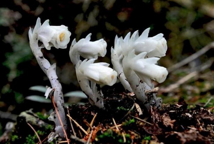 $!title_without_url!$