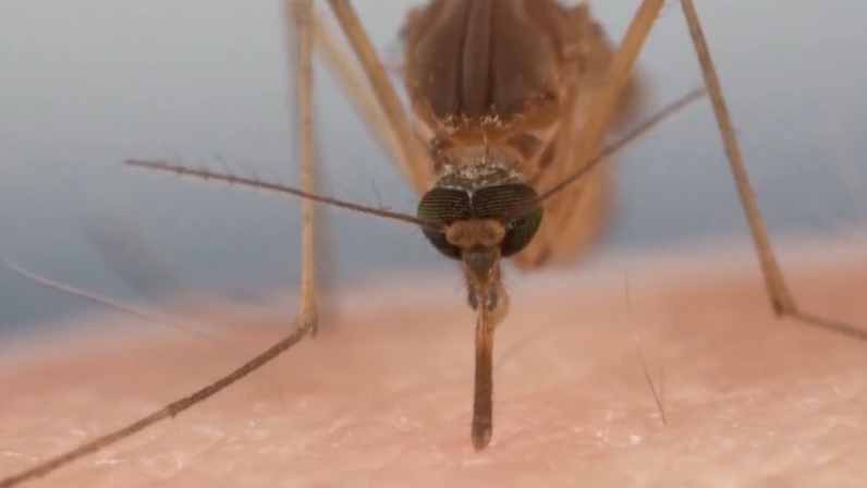 $!title_without_url!$