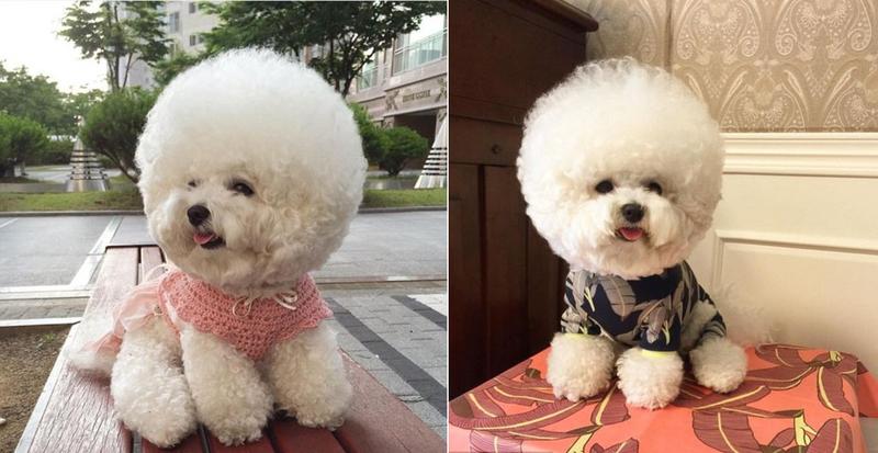 $!title_without_url!$