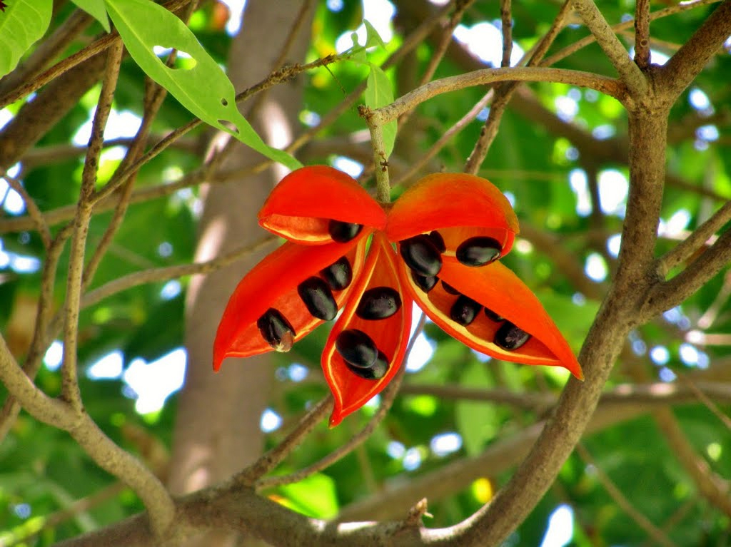 $!title_without_url!$