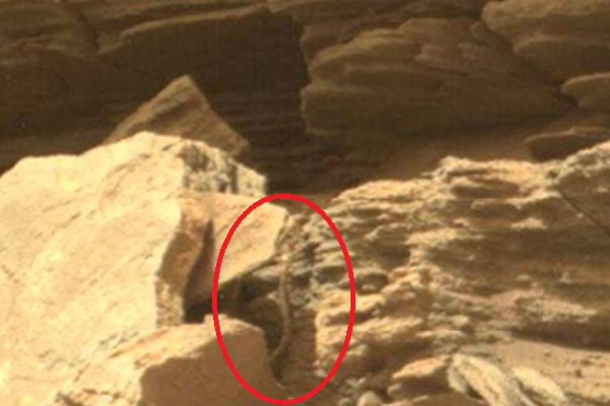 $!title_without_url!$