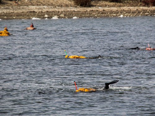 $!title_without_url!$