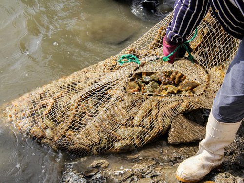 $!title_without_url!$