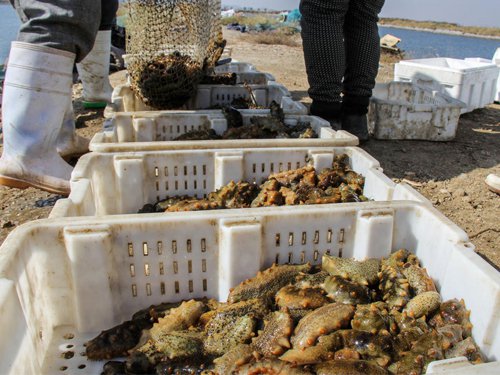 $!title_without_url!$