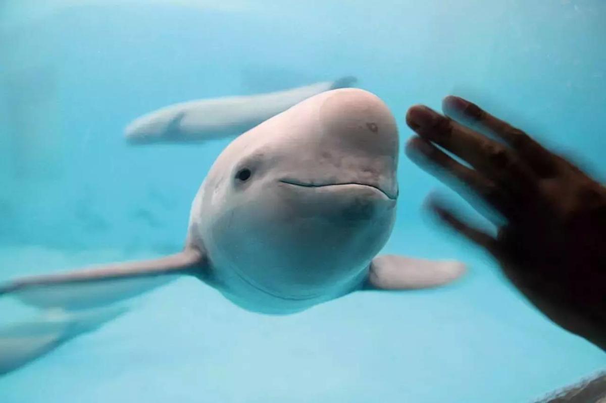 $!title_without_url!$