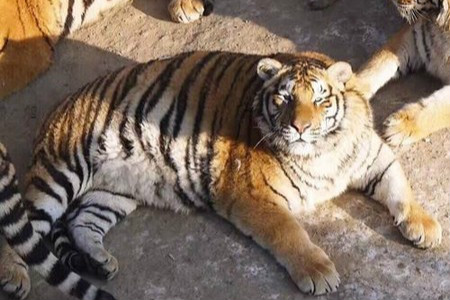 $!title_without_url!$