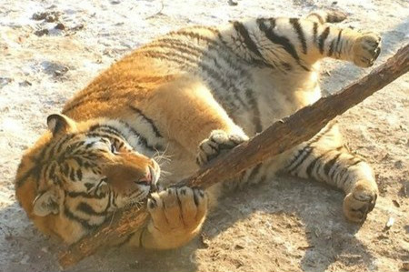 $!title_without_url!$