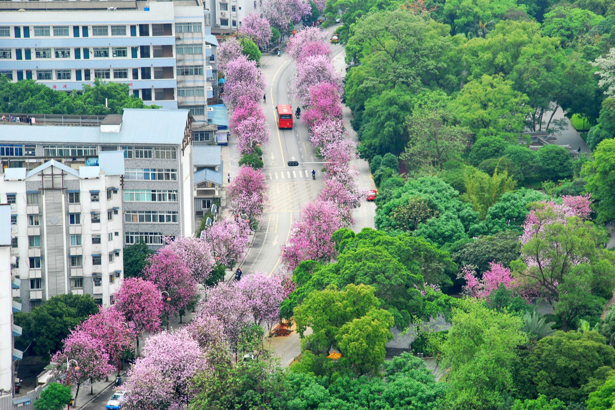 $!title_without_url!$