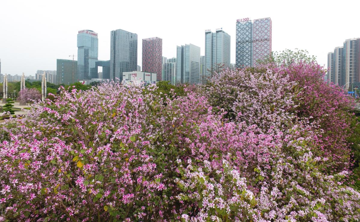 $!title_without_url!$