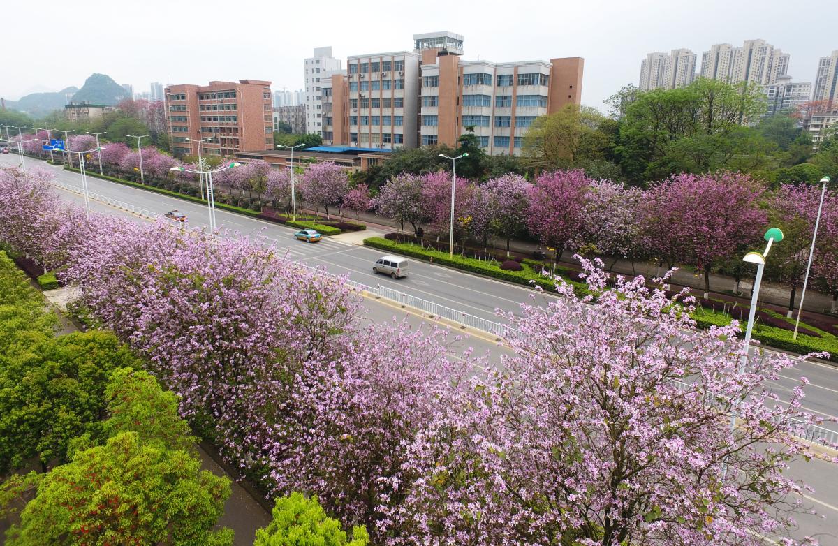 $!title_without_url!$