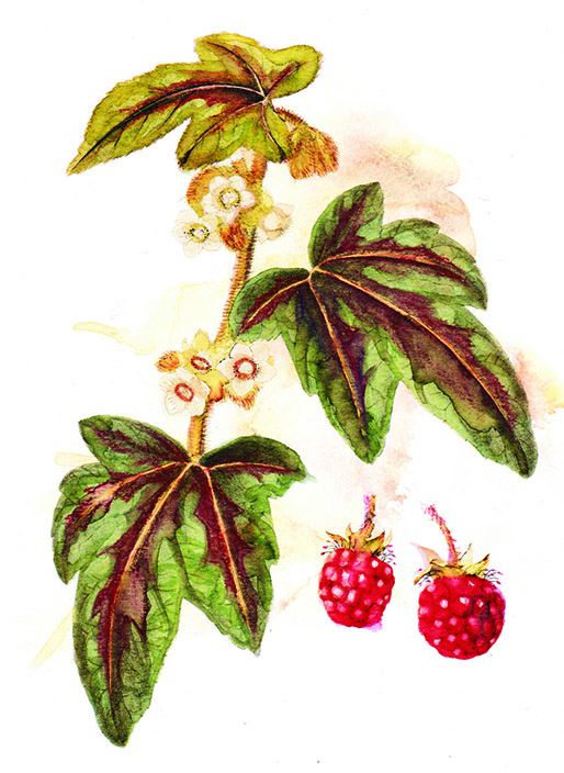 $!title_without_url!$