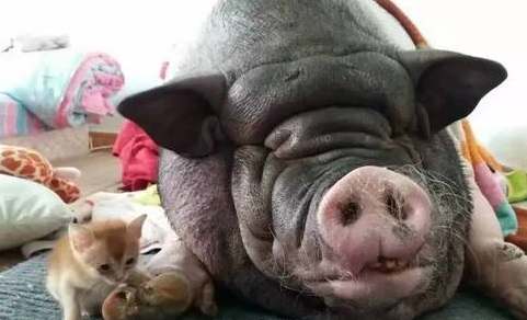 $!title_without_url!$