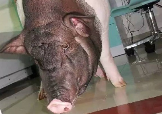 $!title_without_url!$