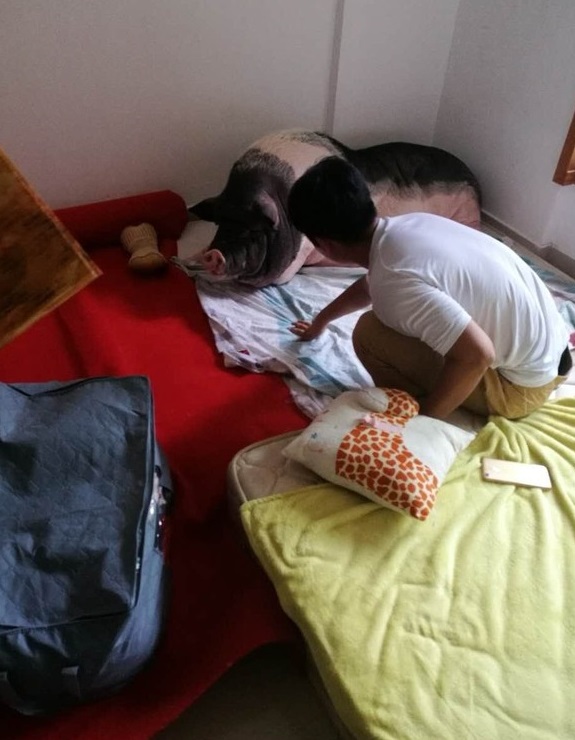 $!title_without_url!$