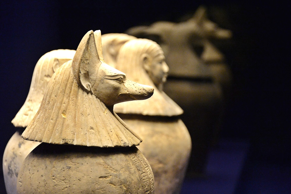 $!title_without_url!$