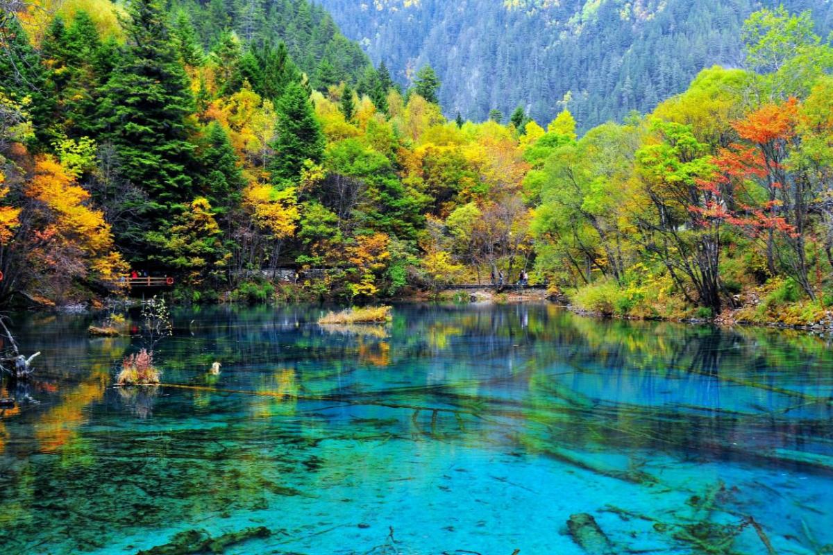 $!title_without_url!$