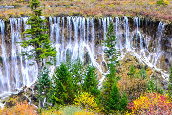 $!title_without_url!$