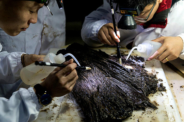 $!title_without_url!$