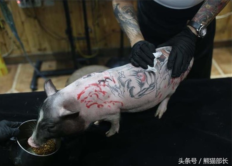 $!title_without_url!$