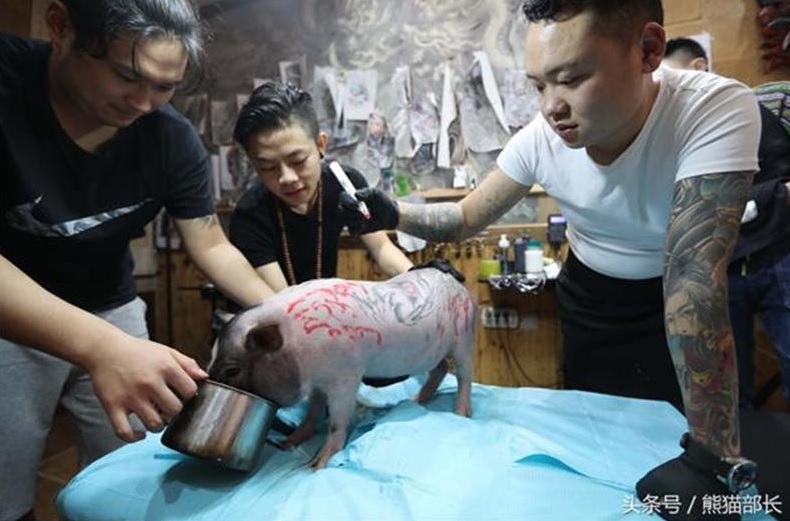 $!title_without_url!$