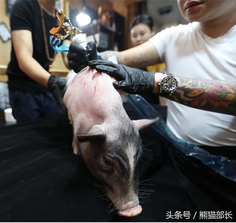 $!title_without_url!$