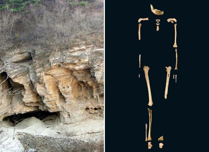 $!title_without_url!$